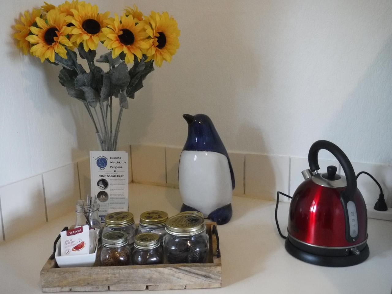 Blue Penguin Villa Timaru Luaran gambar